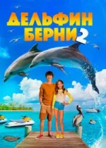 Дельфин Берни 2